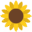 ntftokenpv.cloud favicon